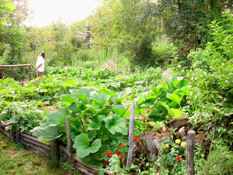 Permaculture | Startup de territoire